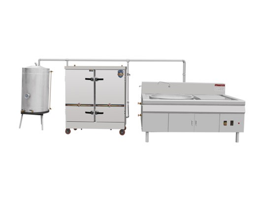 燃生物質蒸汽型節能灶